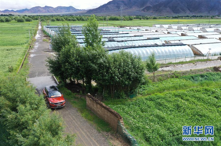 W020200814359598945237.jpg W020200814359598945237.jpg