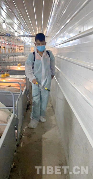 西藏青年說：他用八個月從技術員成長為（wéi）主管（guǎn）