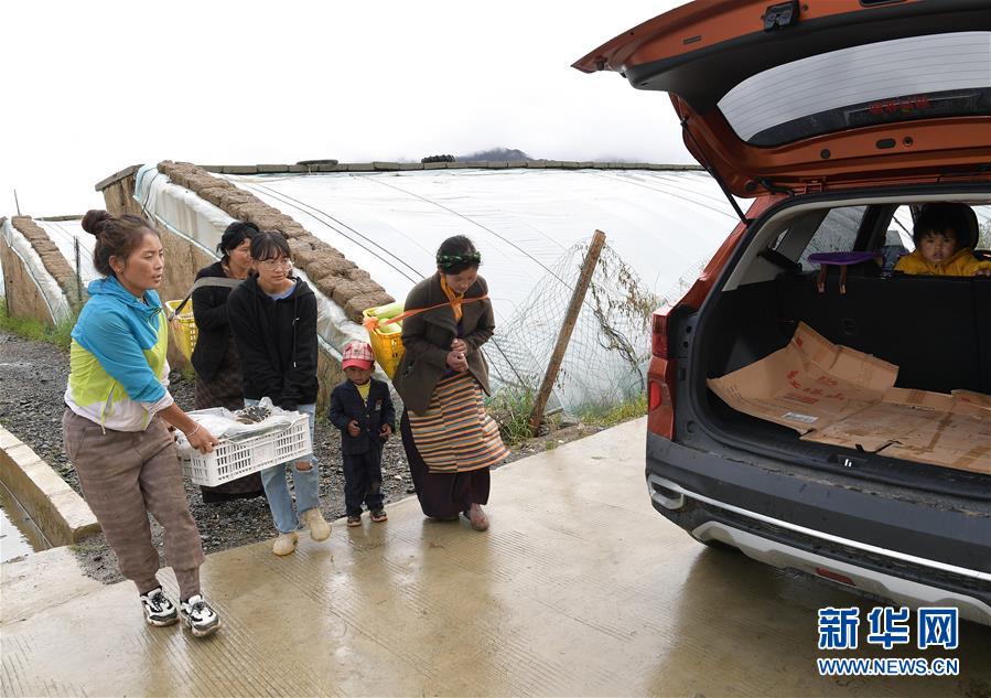 W020200814359598896277.jpg W020200814359598896277.jpg