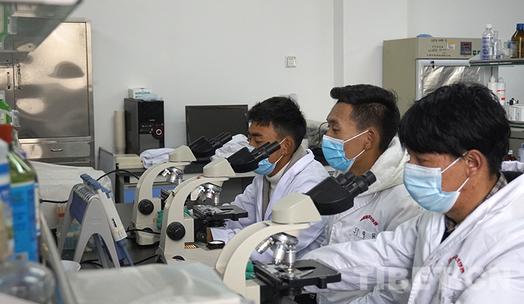 W020200412480976884572.jpg W020200412480976884572.jpg