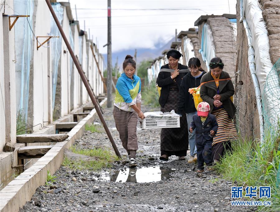 W020200814359598845161.jpg W020200814359598845161.jpg