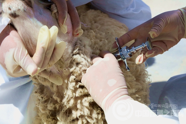 W020200807664450405096.jpg W020200807664450405096.jpg